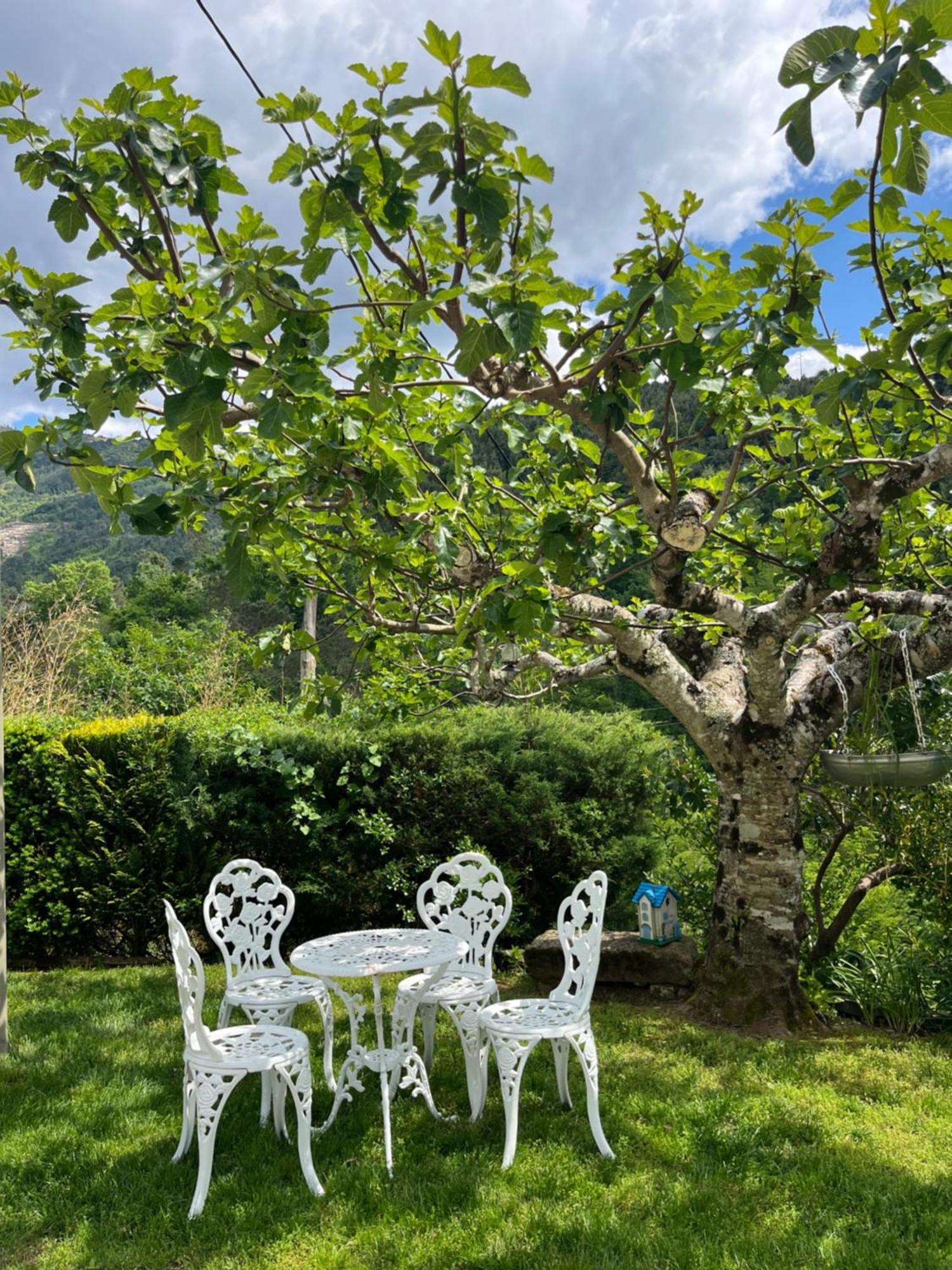 Casa Da Ribeira Do Cirio Guest House Seia Eksteriør bilde